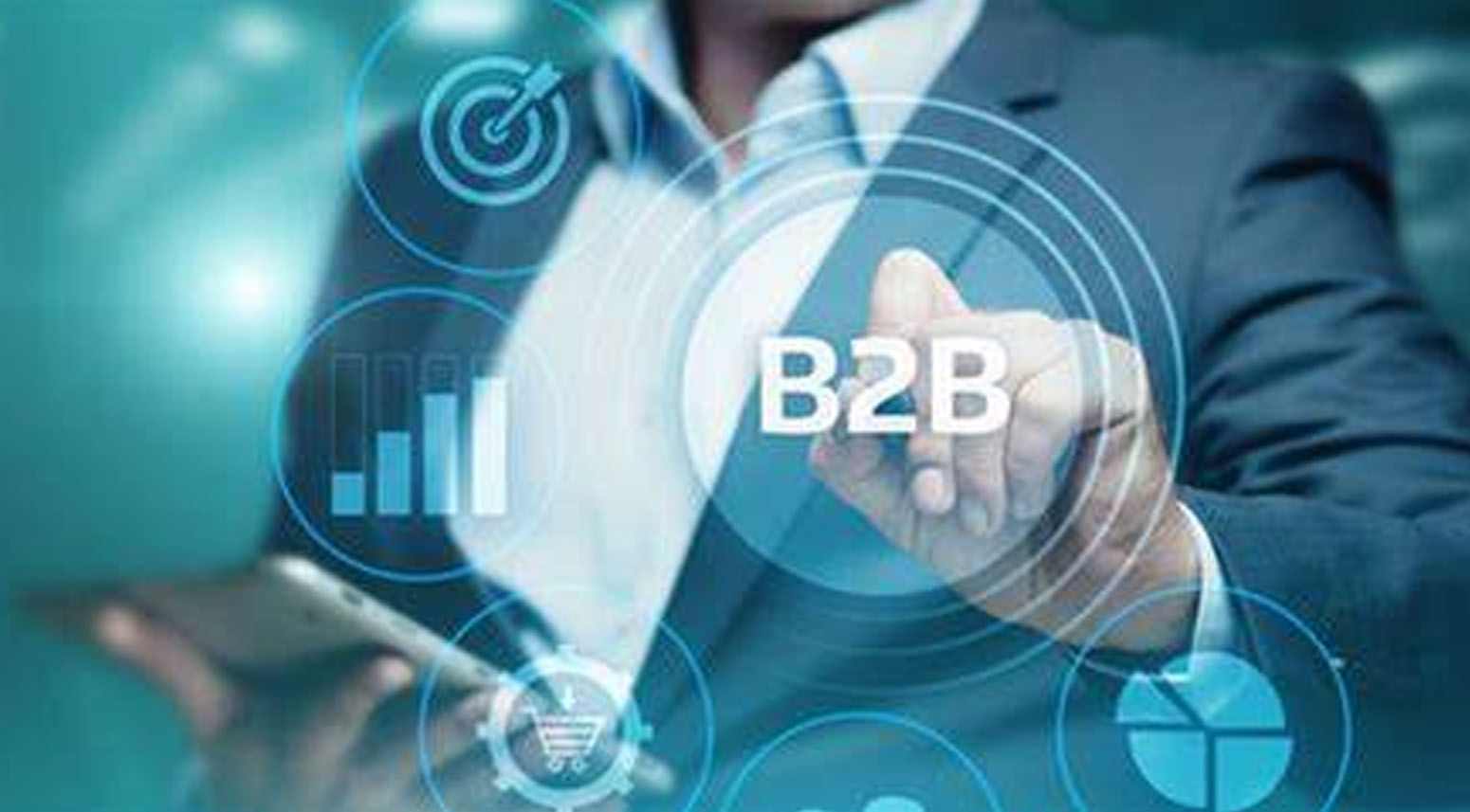 B2B服务官网建设开发，在线商务交易平台